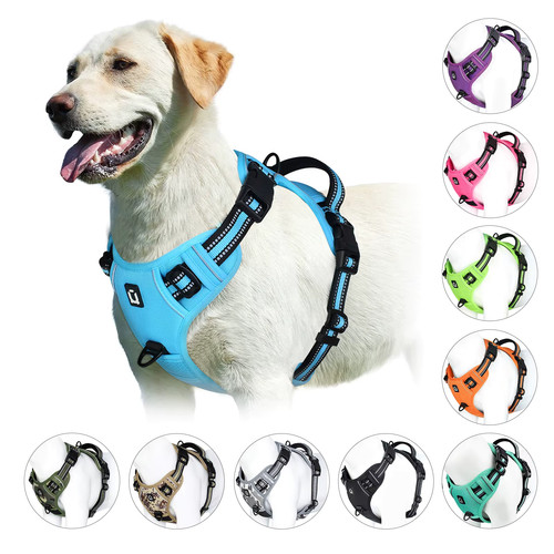 Pettorina cane anti tiro - pettorina,