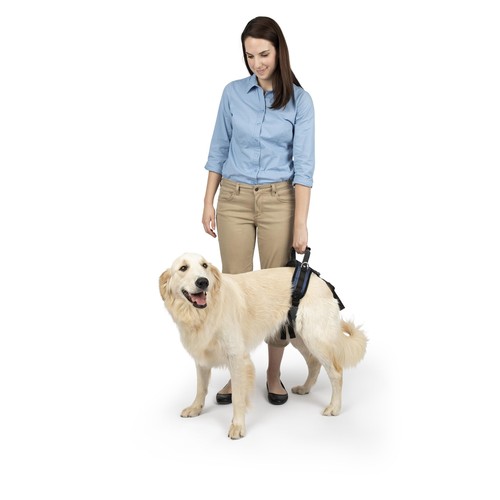 Carelift pettorina supporto - carelift,