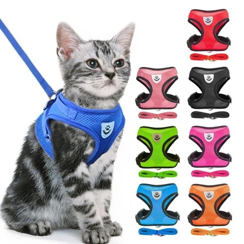 Pettorina gatto cane - gatto,