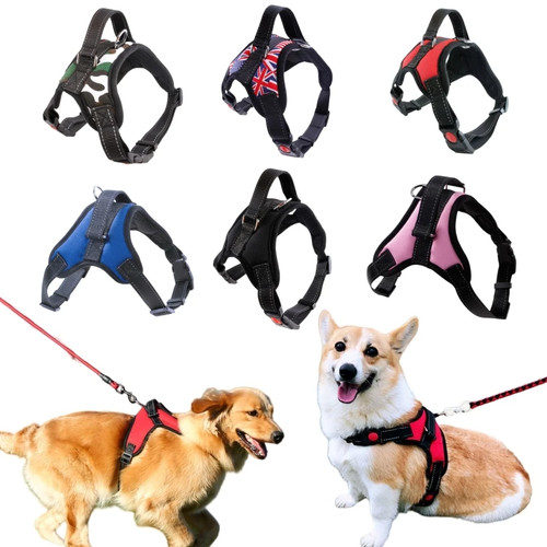 Pettorina per cani - in, nylon