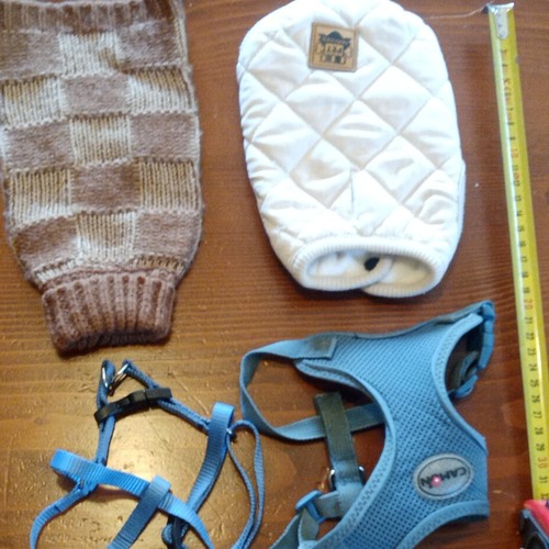 Camon pettorina taglia xs - camon,