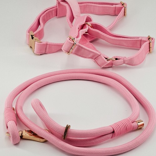Pettorina cane velluto rosa - velluto,