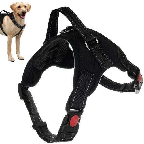 Pettorina per cane traspirante - pettorina,