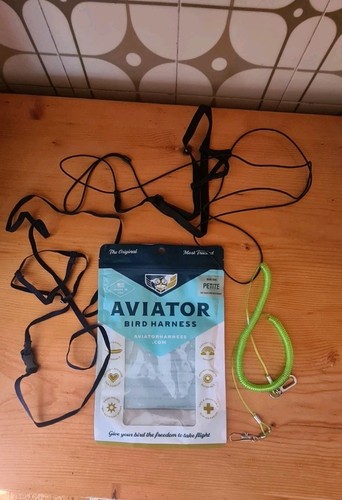 Pettorina aviator bonus - pettorina,