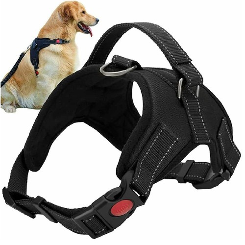 Pettorina imbracatura per - pettorina,