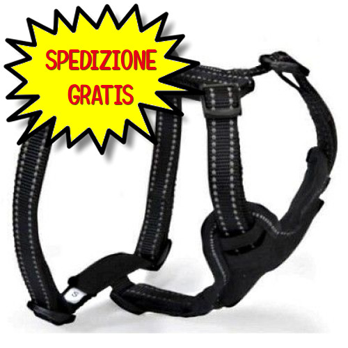 Camon pettorina neoprene - camon,