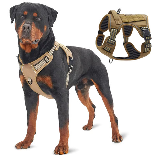 Pettorina per cani taglia - cani,
