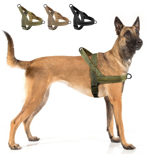 Pettorina tattica per cani - pettorina,