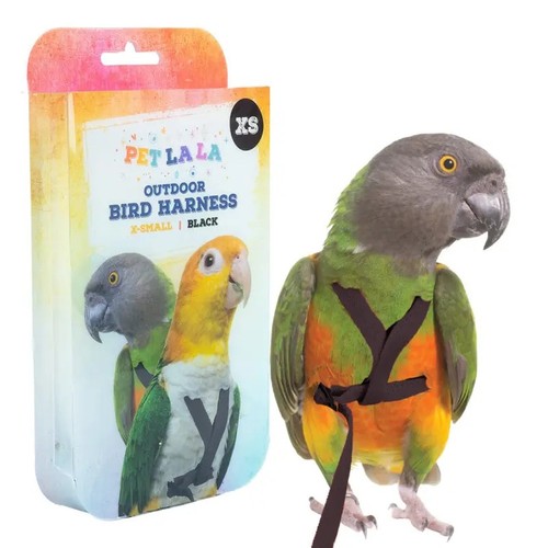 Pettorina pappagalli xsmall - pappagalli,