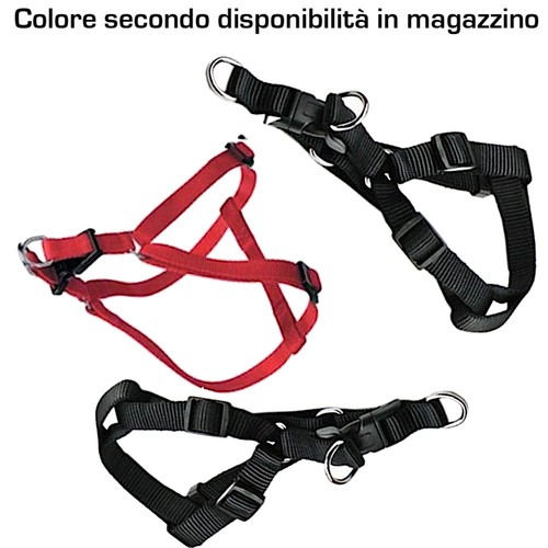 Coppia pettorina cani - coppia,