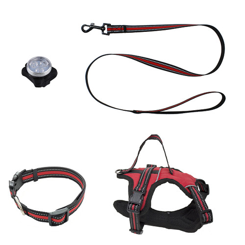 Kit pettorina con torcia