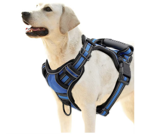 Pettorina cane imbracatura - cane,