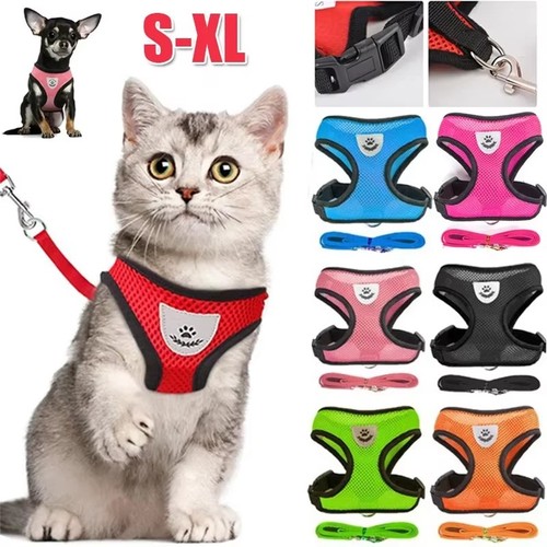 Pettorina per gatti - gatti, e