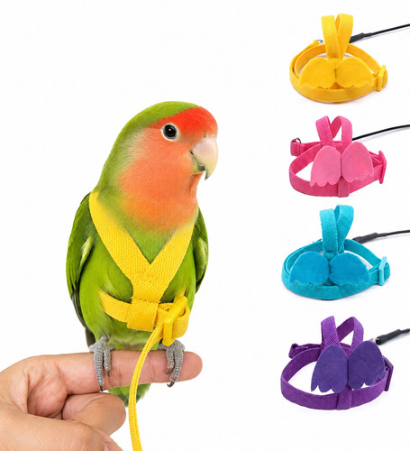 Pettorina con guinzaglio per - pettorina,